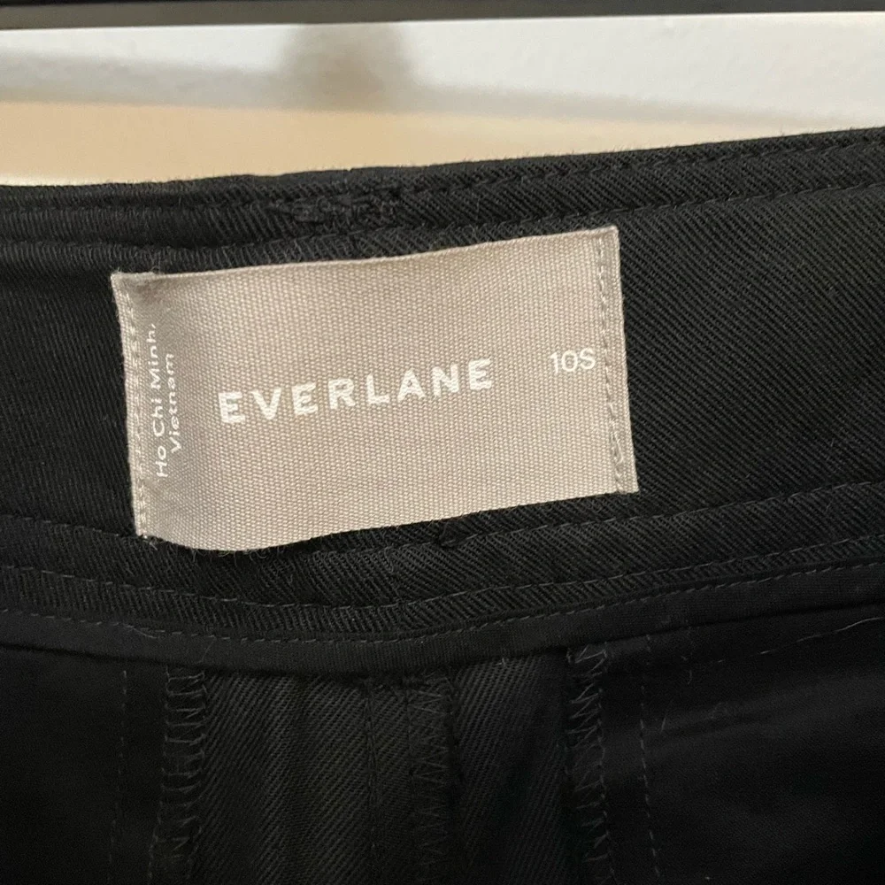 Everlane “Way High Drape Pant”